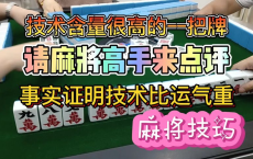 麻将技巧及实战技巧 书籍 视频教程：