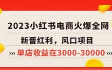 [阿里云盘]米杰《小红书电商项目》从小白到精英实战教学[免费在线观看][免费下载][夸克网盘][技能培训]