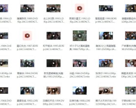 🎬经典香港电影合集未删减版本【150部343GB】[免费在线观看][免费下载][夸克网盘][国产影视]