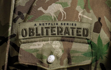 [阿里云盘]湮灭 Obliterated (2023) 8集完结 中英字幕[免费在线观看][免费下载][夸克网盘][欧美影视]