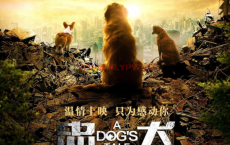 忠犬流浪记 4K | 导演: 桑凯·维杜朗 | 主演: 叮当 应昊茗 王硕 傅风男 [国语中英字幕] 杜比音效