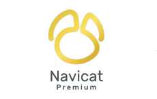 [阿里云盘]Navicat Premium(数据库管理) v16.3.5 特别版 [免费下载][夸克网盘][电脑软件]