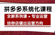 [阿里云盘]【思益学院】纪主任《车神陪跑：拼多多系统化课程》[免费在线观看][免费下载][夸克网盘][知识教程]