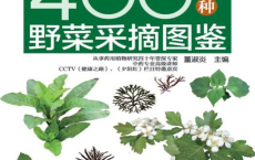 [阿里云盘]《400种野菜采摘图鉴》辨识野菜PDF[免费在线观看][免费下载][夸克网盘][电子书籍]