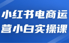 [阿里云盘]小红书电商运营小白实操课[免费在线观看][免费下载][夸克网盘][知识教程]