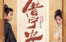 借宁安 (2024)   4k 【全24集】 [免费在线观看][免费下载][网盘资源][国产影视]