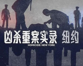 凶杀重案实录：纽约 Homicide New York (2024) 1080P【全5集】[免费在线观看][免费下载][网盘资源][欧美影视]