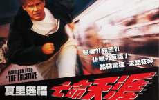 亡命天涯 The Fugitive (1993)【豆瓣8.1】[免费在线观看][免费下载][网盘资源][欧美影视]