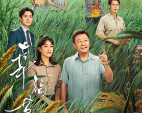 幸福草 (2024) 4k 【全24集】[免费在线观看][免费下载][网盘资源][国产影视]